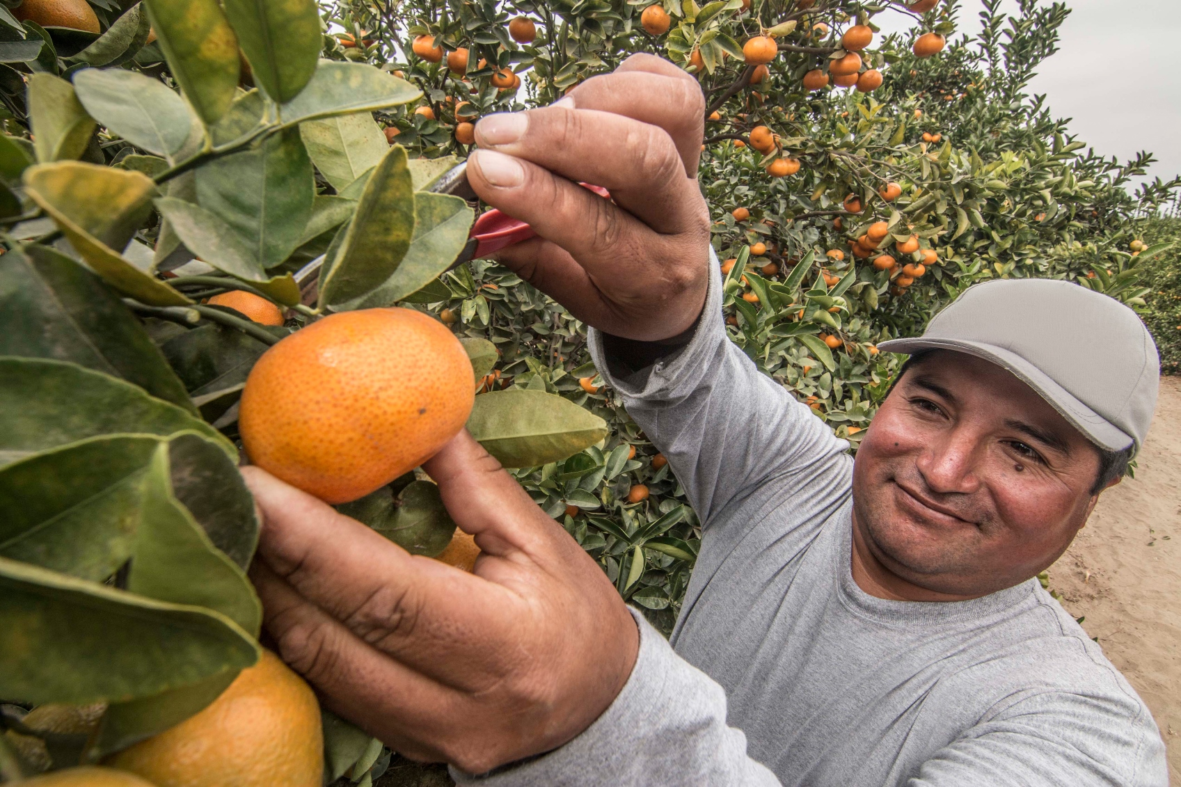 FIELD - PERU - IMG_1057 (1).jpg
