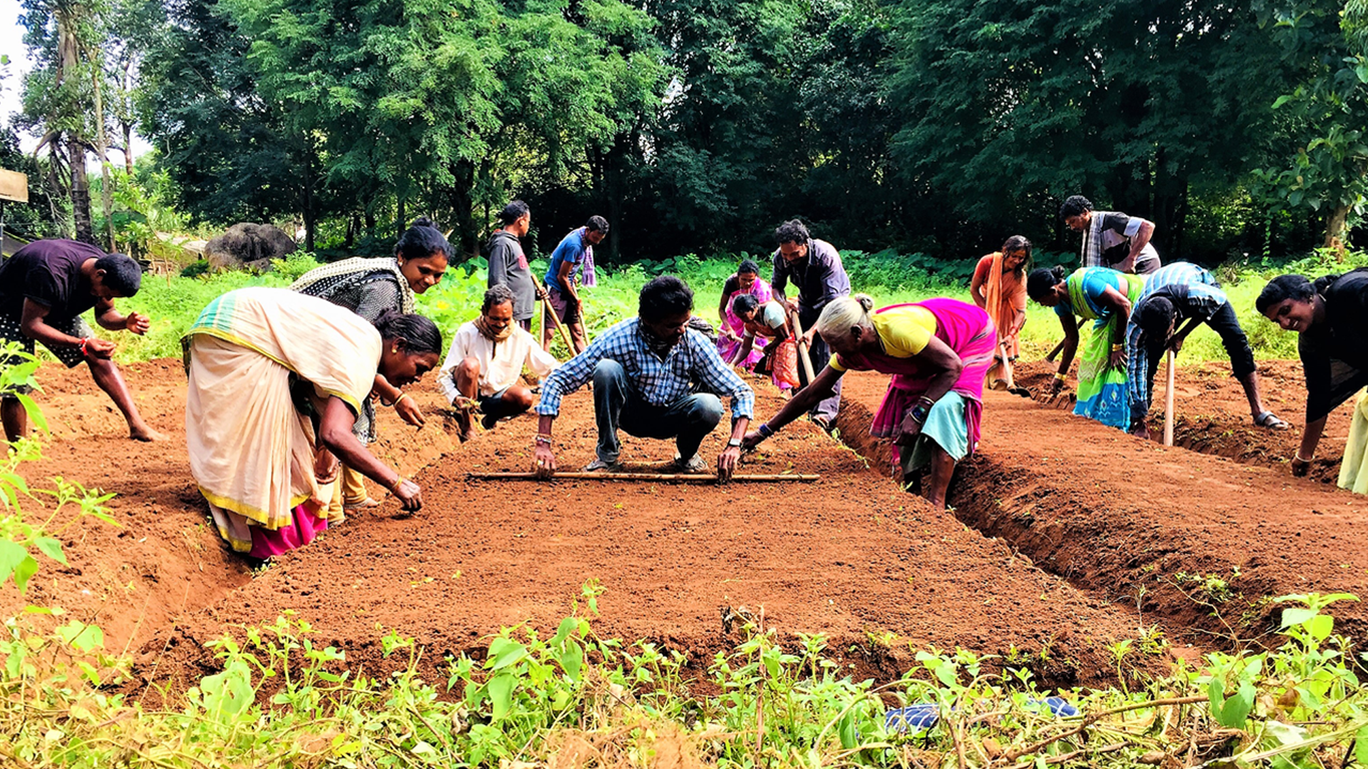 People farming in India