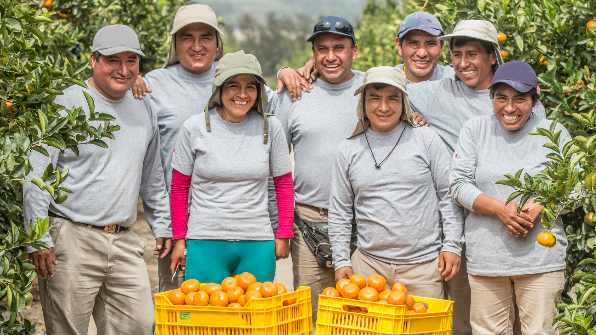 People in Supply Chains