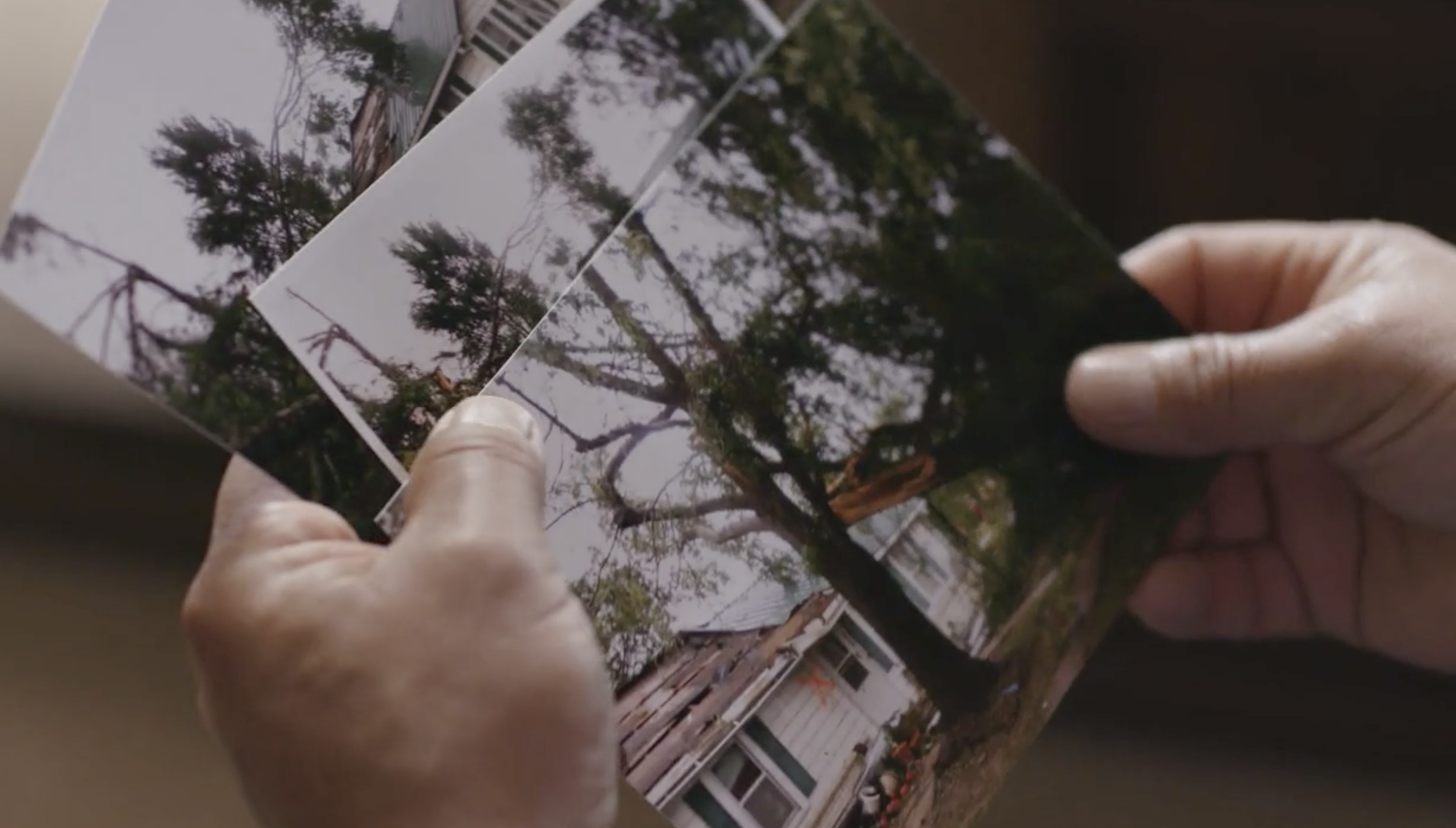 Support for our Associates